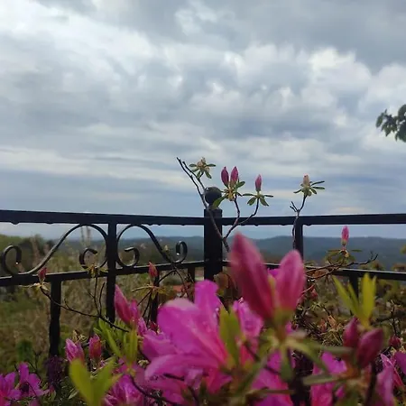 Christina's House - / Pelion Apartment Neochori (Magnesia)