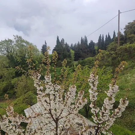 Apartment Christina's House - / Pelion Neochori (Magnesia)